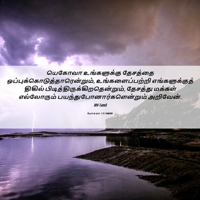 Picture 06 - யோசுவா 2:9 TAMIRV - யெகோவா உங்களுக்கு - Bible Verse Picture