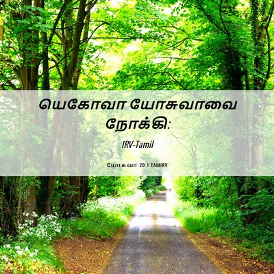 Picture 06 - யோசுவா 20:1 TAMIRV - யெகோவா யோசுவாவை - Bible Verse Picture