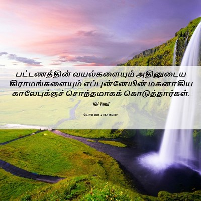 Picture 06 - யோசுவா 21:12 TAMIRV - பட்டணத்தின் - Bible Verse Picture