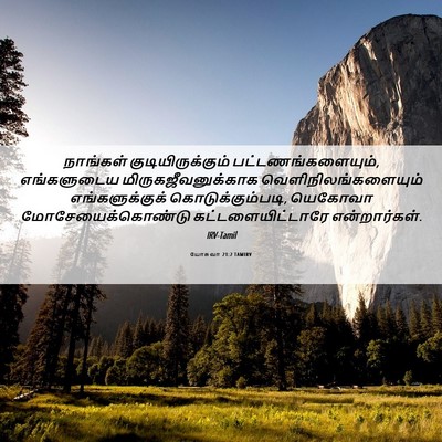 Picture 06 - யோசுவா 21:2 TAMIRV - நாங்கள் - Bible Verse Picture