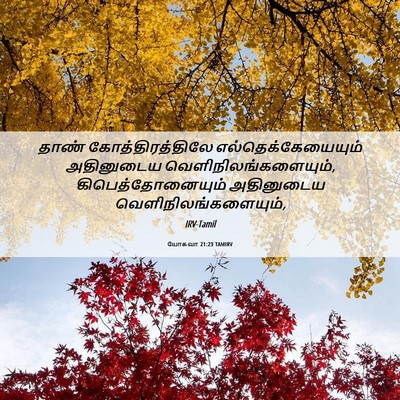 Picture 06 - யோசுவா 21:23 TAMIRV - தாண் - Bible Verse Picture