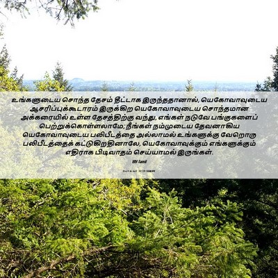Picture 06 - யோசுவா 22:19 TAMIRV - உங்களுடைய சொந்த - Bible Verse Picture