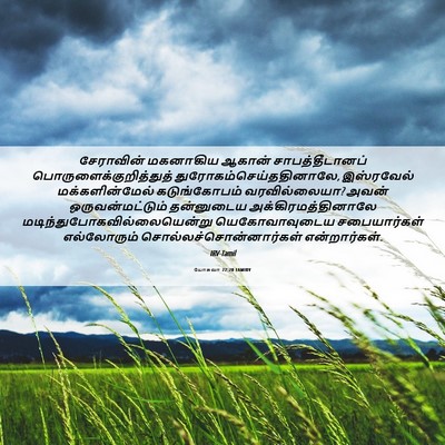 Picture 06 - யோசுவா 22:20 TAMIRV - சேராவின் மகனாகிய - Bible Verse Picture