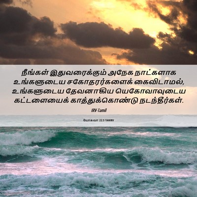 Picture 06 - யோசுவா 22:3 TAMIRV - நீங்கள் - Bible Verse Picture