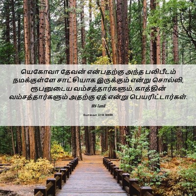 Picture 06 - யோசுவா 22:34 TAMIRV - யெகோவா தேவன் - Bible Verse Picture