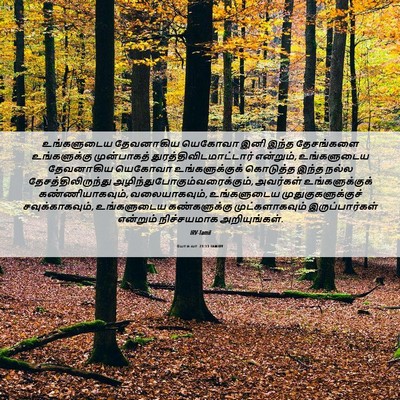 Picture 06 - யோசுவா 23:13 TAMIRV - உங்களுடைய - Bible Verse Picture