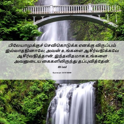 Picture 06 - யோசுவா 24:10 TAMIRV - பிலேயாமுக்குச் - Bible Verse Picture
