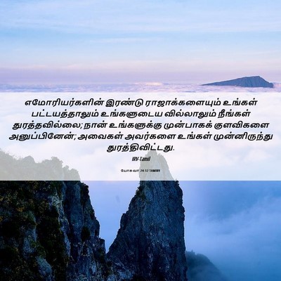 Picture 06 - யோசுவா 24:12 TAMIRV - எமோரியர்களின் - Bible Verse Picture