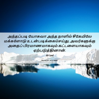 Picture 06 - யோசுவா 24:25 TAMIRV - அந்தப்படி யோசுவா - Bible Verse Picture