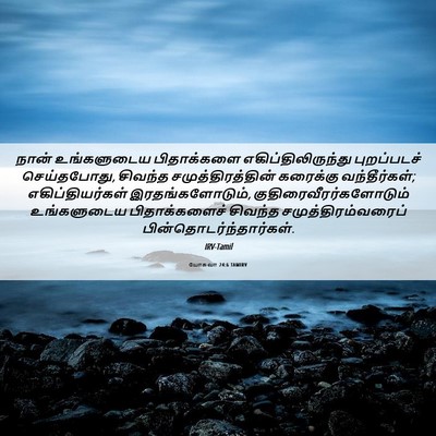 Picture 06 - யோசுவா 24:6 TAMIRV - நான் உங்களுடைய - Bible Verse Picture