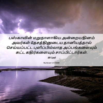 Picture 06 - யோசுவா 5:11 TAMIRV - பஸ்காவின் - Bible Verse Picture