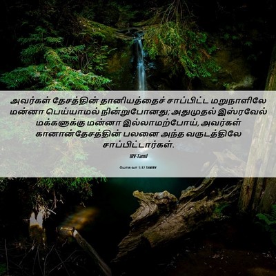Picture 06 - யோசுவா 5:12 TAMIRV - அவர்கள் தேசத்தின் - Bible Verse Picture