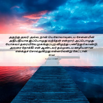 Picture 06 - யோசுவா 5:14 TAMIRV - அதற்கு அவர்: அல்ல, - Bible Verse Picture