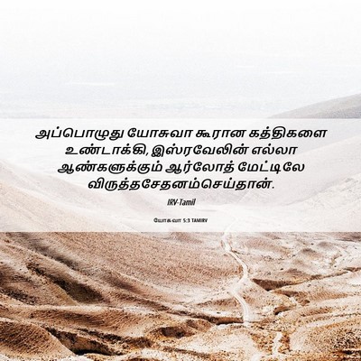 Picture 06 - யோசுவா 5:3 TAMIRV - அப்பொழுது யோசுவா - Bible Verse Picture