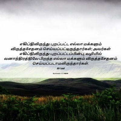 Picture 06 - யோசுவா 5:5 TAMIRV - எகிப்திலிருந்து - Bible Verse Picture