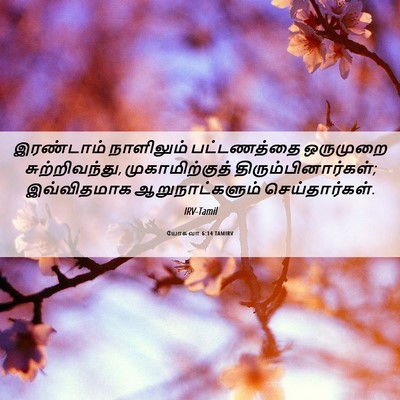 Picture 06 - யோசுவா 6:14 TAMIRV - இரண்டாம் நாளிலும் - Bible Verse Picture