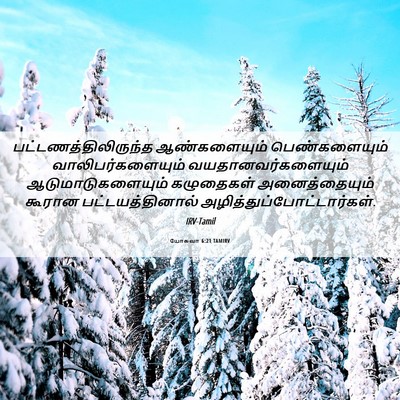Picture 06 - யோசுவா 6:21 TAMIRV - பட்டணத்திலிருந்த - Bible Verse Picture