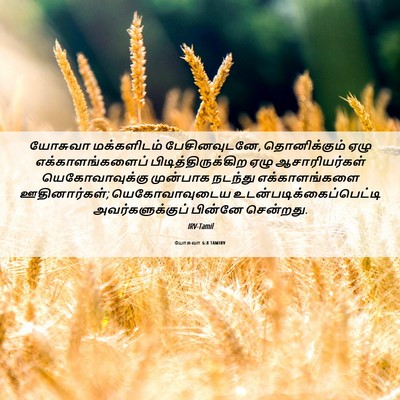 Picture 06 - யோசுவா 6:8 TAMIRV - யோசுவா மக்களிடம் - Bible Verse Picture