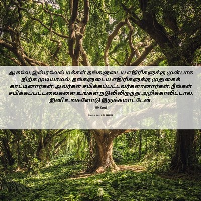 Picture 06 - யோசுவா 7:12 TAMIRV - ஆகவே, இஸ்ரவேல் - Bible Verse Picture