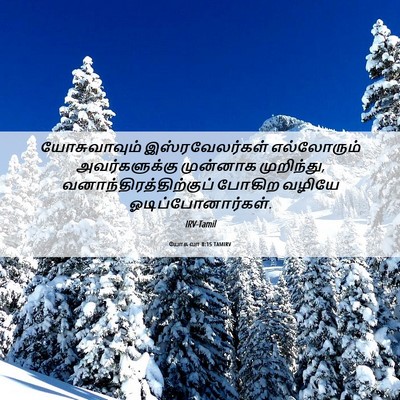 Picture 06 - யோசுவா 8:15 TAMIRV - யோசுவாவும் - Bible Verse Picture
