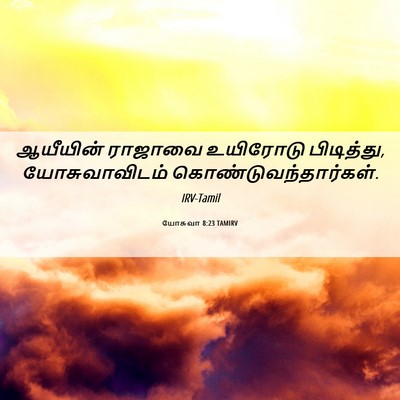 Picture 06 - யோசுவா 8:23 TAMIRV - ஆயீயின் ராஜாவை - Bible Verse Picture
