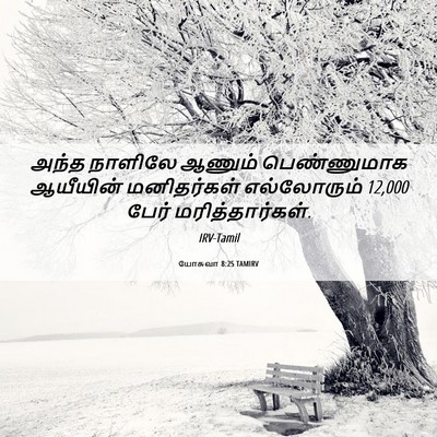 Picture 06 - யோசுவா 8:25 TAMIRV - அந்த நாளிலே ஆணும் - Bible Verse Picture