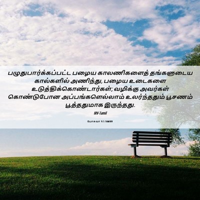 Picture 06 - யோசுவா 9:5 TAMIRV -  - Bible Verse Picture