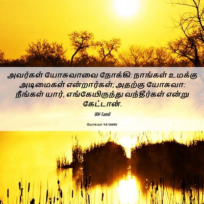 Picture 06 - யோசுவா 9:8 TAMIRV - அவர்கள் யோசுவாவை - Bible Verse Picture