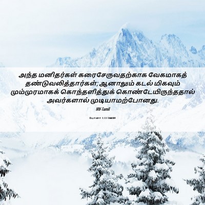 Picture 06 - யோனா 1:13 TAMIRV - அந்த மனிதர்கள் - Bible Verse Picture