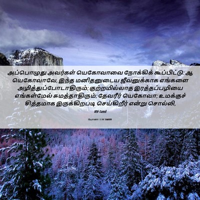 Picture 06 - யோனா 1:14 TAMIRV - அப்பொழுது அவர்கள் - Bible Verse Picture