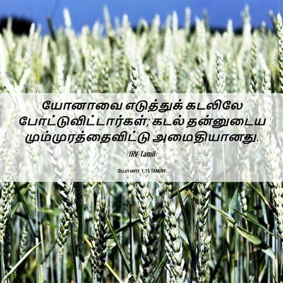 Picture 06 - யோனா 1:15 TAMIRV - யோனாவை எடுத்துக் - Bible Verse Picture