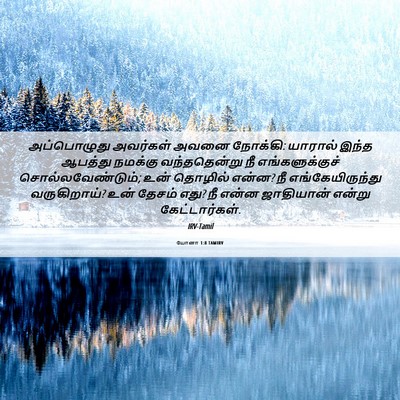 Picture 06 - யோனா 1:8 TAMIRV - அப்பொழுது அவர்கள் - Bible Verse Picture