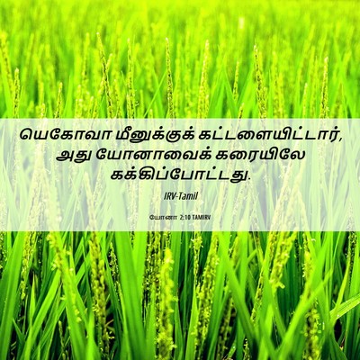 Picture 06 - யோனா 2:10 TAMIRV - யெகோவா மீனுக்குக் - Bible Verse Picture