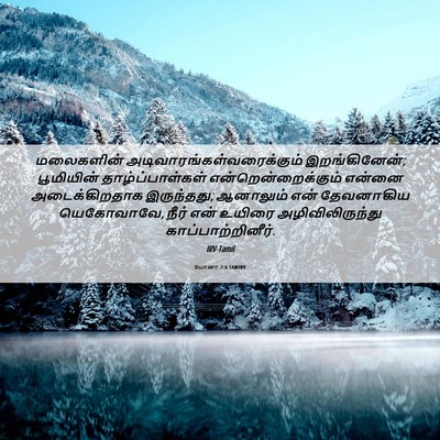 Picture 06 - யோனா 2:6 TAMIRV - மலைகளின் - Bible Verse Picture