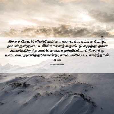 Picture 06 - யோனா 3:6 TAMIRV - இந்தச் செய்தி - Bible Verse Picture