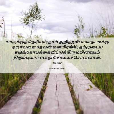 Picture 06 - யோனா 3:9 TAMIRV - யாருக்குத் - Bible Verse Picture