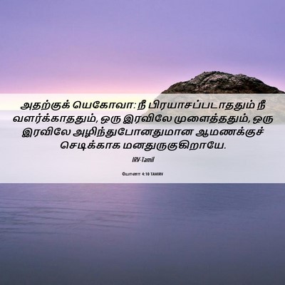 Picture 06 - யோனா 4:10 TAMIRV - அதற்குக் யெகோவா: - Bible Verse Picture