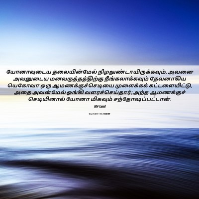 Picture 06 - யோனா 4:6 TAMIRV - யோனாவுடைய - Bible Verse Picture