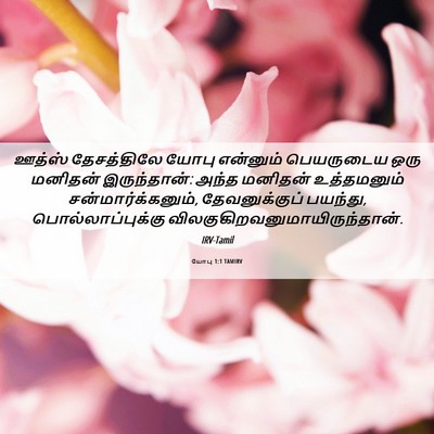 Picture 06 - யோபு 1:1 TAMIRV - ஊத்ஸ் தேசத்திலே - Bible Verse Picture
