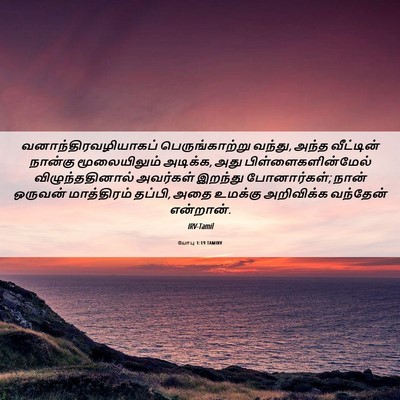 Picture 06 - யோபு 1:19 TAMIRV - வனாந்திரவழியாகப் - Bible Verse Picture