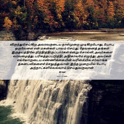 Picture 06 - யோபு 1:5 TAMIRV - விருந்துசெய்கிற - Bible Verse Picture