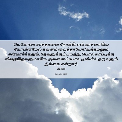 Picture 06 - யோபு 1:8 TAMIRV - யெகோவா சாத்தானை - Bible Verse Picture