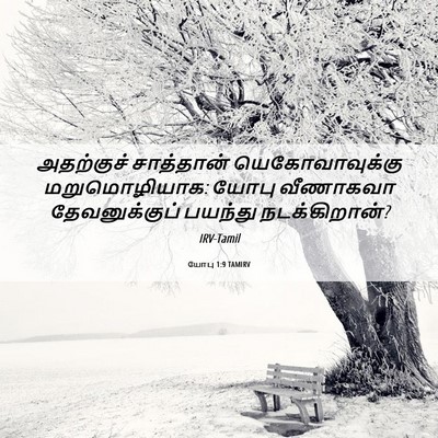 Picture 06 - யோபு 1:9 TAMIRV - அதற்குச் சாத்தான் - Bible Verse Picture