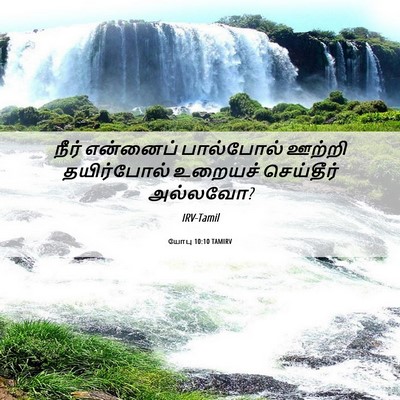 Picture 06 - யோபு 10:10 TAMIRV - நீர் என்னைப் - Bible Verse Picture