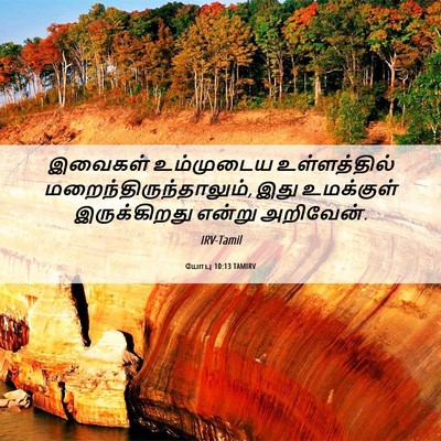 Picture 06 - யோபு 10:13 TAMIRV - இவைகள் உம்முடைய - Bible Verse Picture