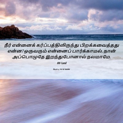Picture 06 - யோபு 10:18 TAMIRV - நீர் என்னைக் - Bible Verse Picture