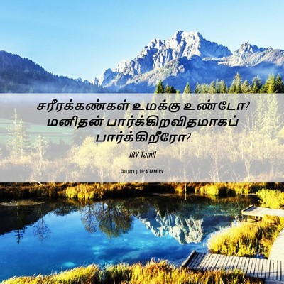 Picture 06 - யோபு 10:4 TAMIRV - சரீரக்கண்கள் - Bible Verse Picture