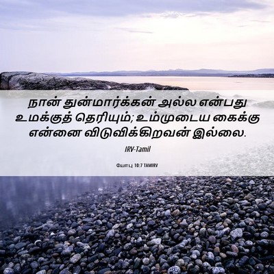 Picture 06 - யோபு 10:7 TAMIRV - நான் - Bible Verse Picture