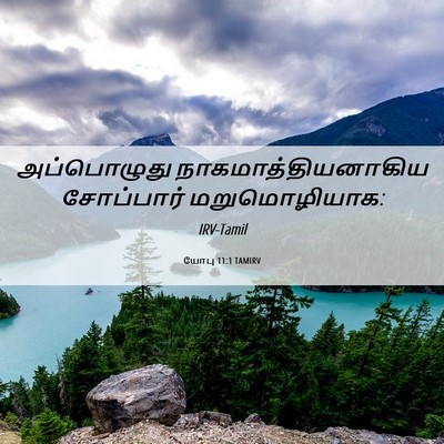Picture 06 - யோபு 11:1 TAMIRV - அப்பொழுது - Bible Verse Picture