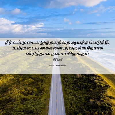 Picture 06 - யோபு 11:13 TAMIRV - நீர் உம்முடைய - Bible Verse Picture